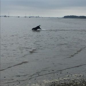 Meet your Posher, Kara